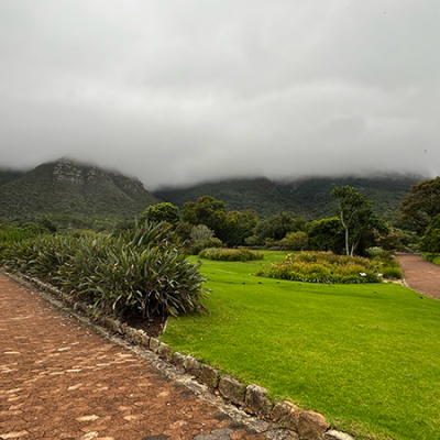 Kirstenbosch 01