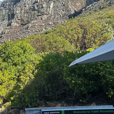 Table Mountain 03