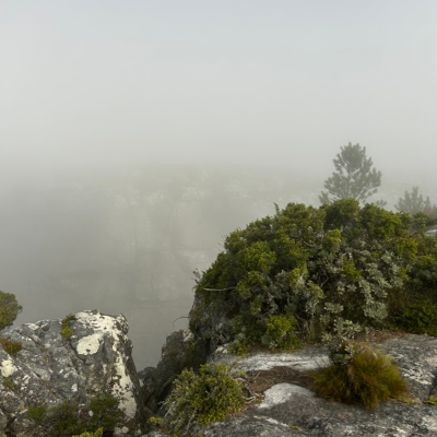 Table Mountain 12