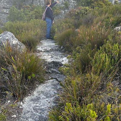 Table Mountain 13