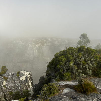 Table Mountain 14