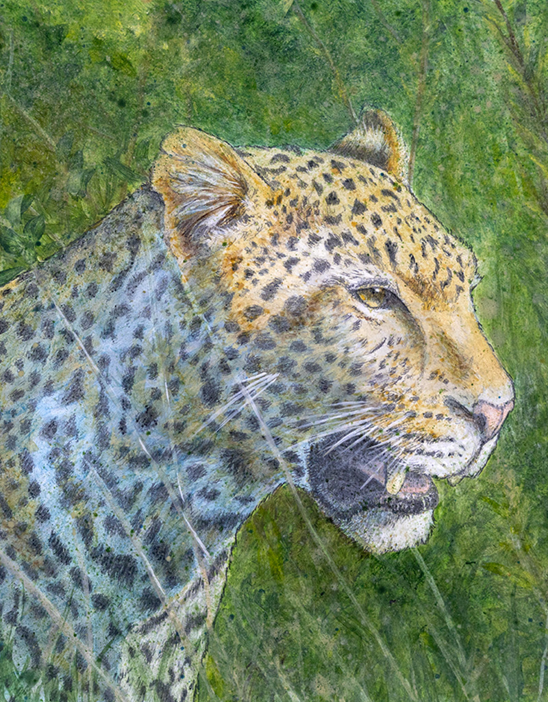 Dynamic Content Image