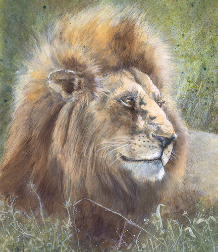 Animals
