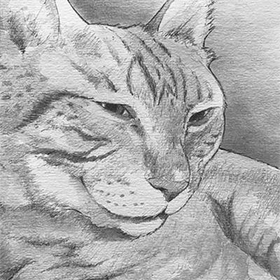 GRAPHITE