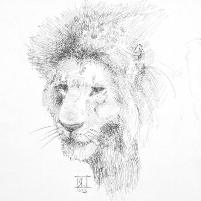 Oldlion