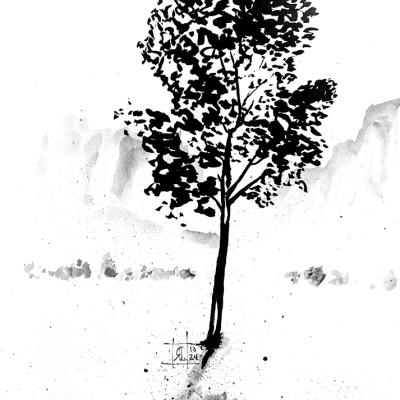 A Tree At Spring Mountain Ranch