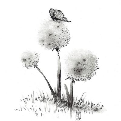 Butterflyfluff