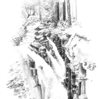 Creek Falls