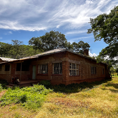 The House on the Hill