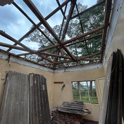 Roof 16