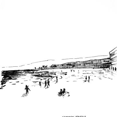 Carpenteria
