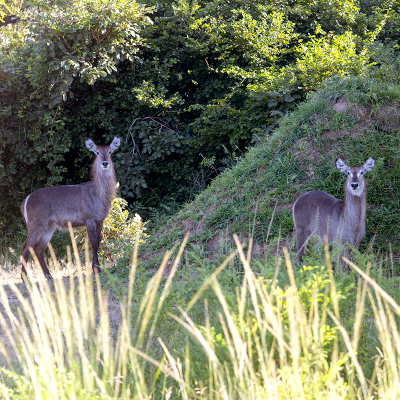 Gamepark 07