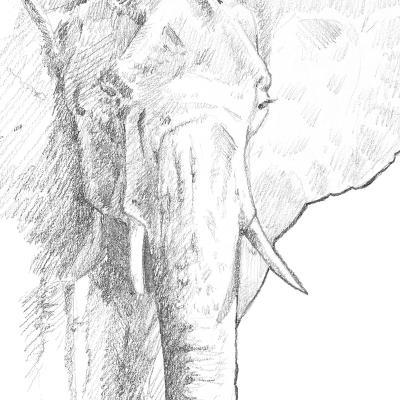 Graphite