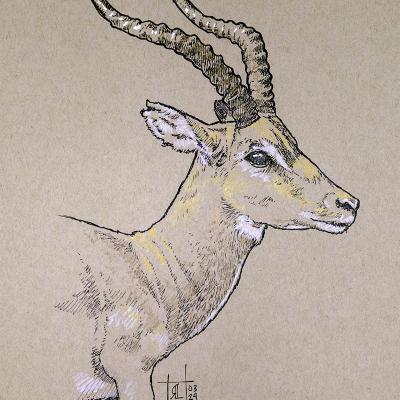 Empala