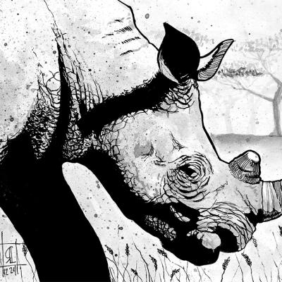 Rhino