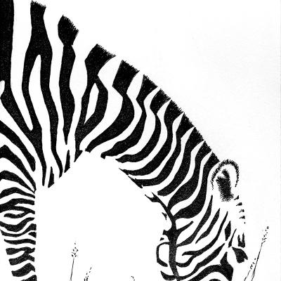 Stripes