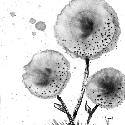 Dandelion Fluff